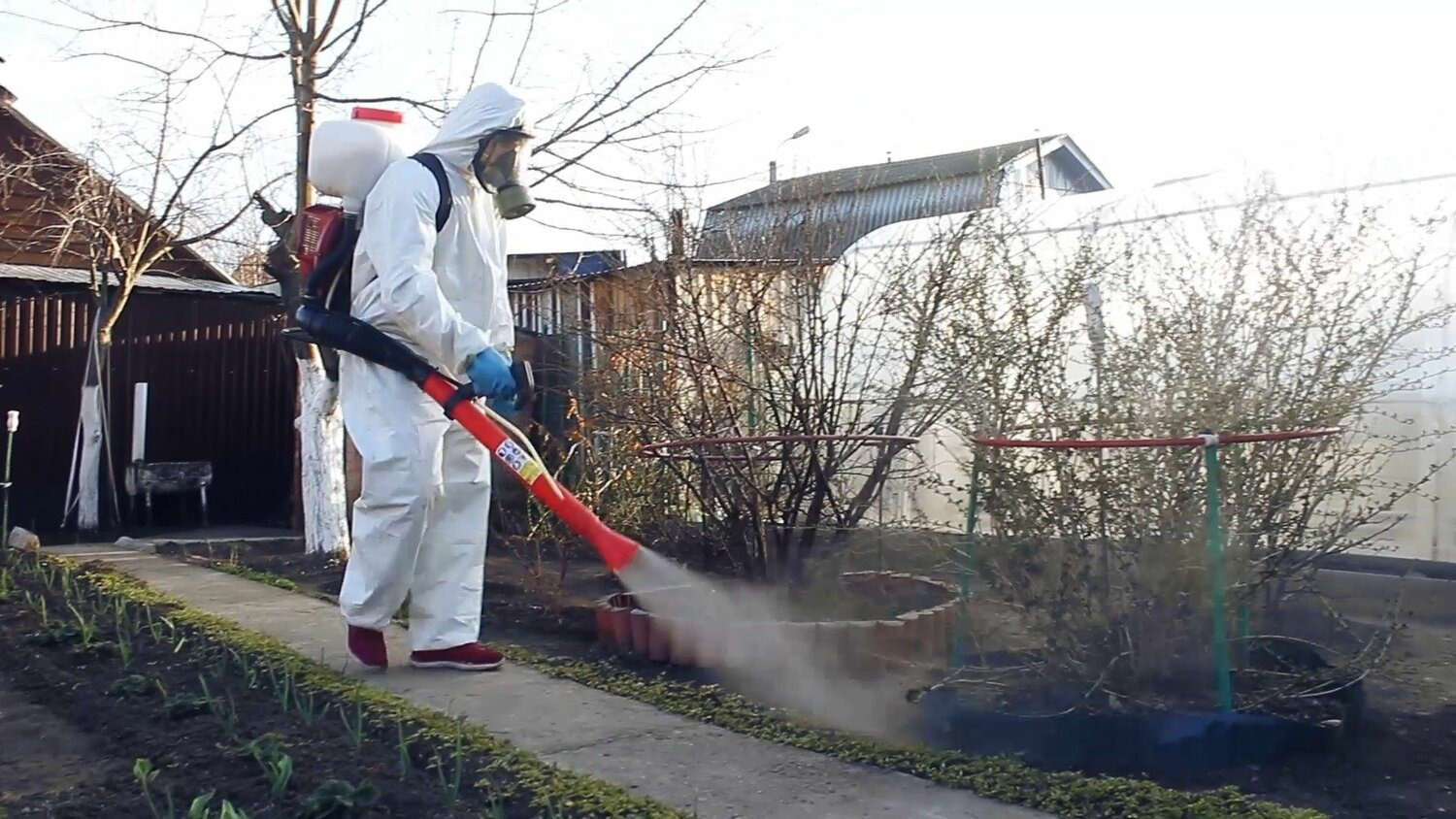 ФОТО Уничтожение муравьёв в районе станции метро Преображенская площадь