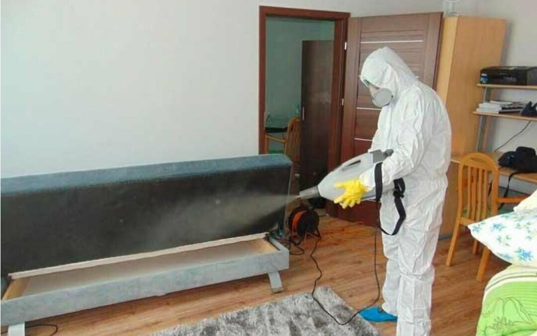 ФОТО Уничтожение блох в районе станции метро Преображенская площадь