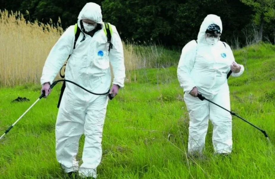 ФОТО Обработка от клещей в районе станции метро Преображенская площадь