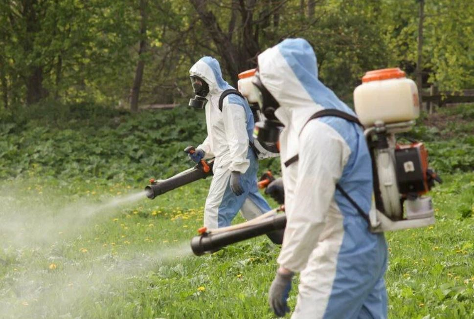 ФОТО Что такое дезинсекция в районе станции метро Преображенская площадь? | подробно