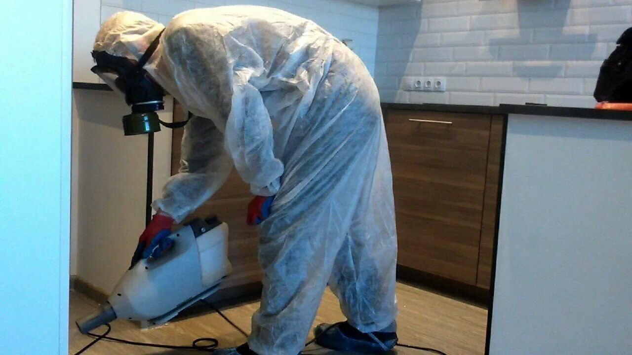 ФОТО Как подготовить домашних животных к обработке от насекомых в районе станции метро Преображенская площадь? | подробно