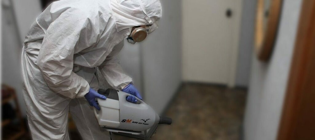 ФОТО Остаются ли следы после обработки квартиры от насекомых в районе станции метро Преображенская площадь? | подробно