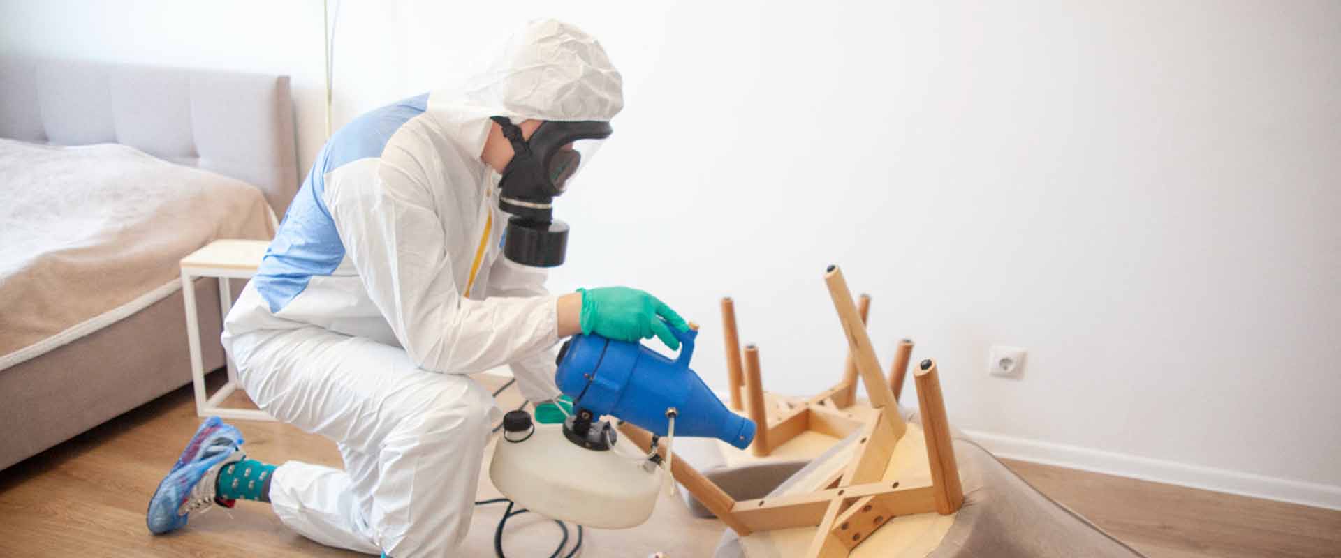 фото: Уничтожение постельных клопов с 1-го раза с гарантией за 30-60 мин. в районе станции метро Преображенская площадь без предоплаты