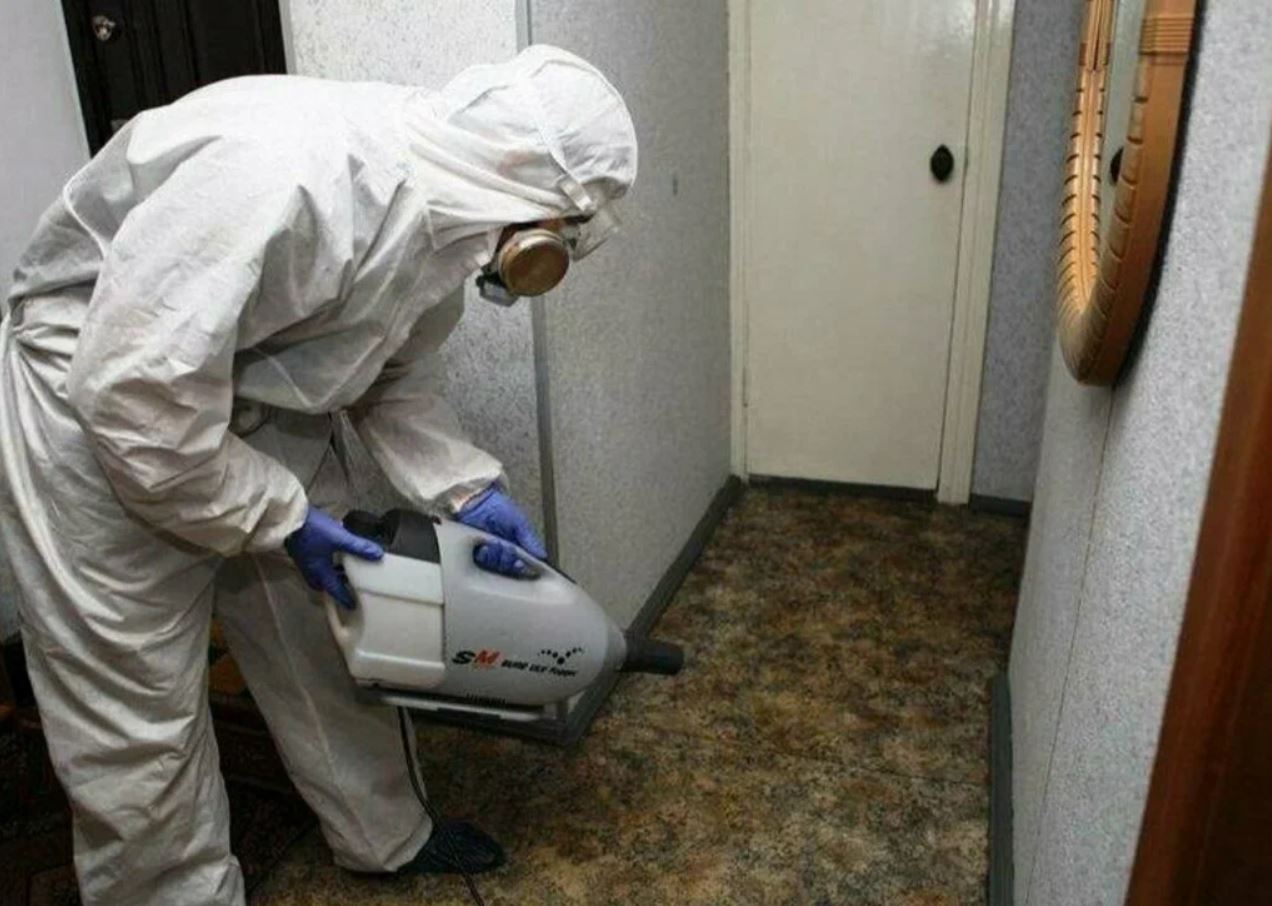 фото: Профессиональная дезинсекция в районе станции метро Преображенская площадь: <br/>+7-909-173-42-96